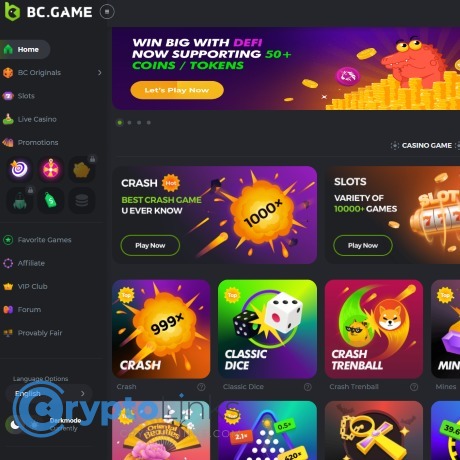 Explore the Thrills of BC.Game Casino A Comprehensive Review